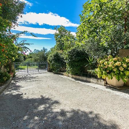 Apartments With A Parking Space Gradac, Makarska - 14708 外观 照片