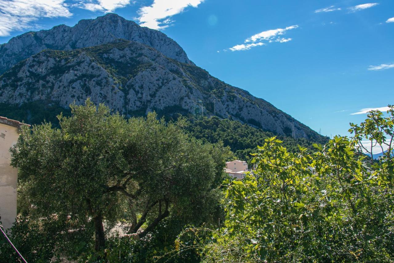 Apartments With A Parking Space Gradac, Makarska - 14708 外观 照片